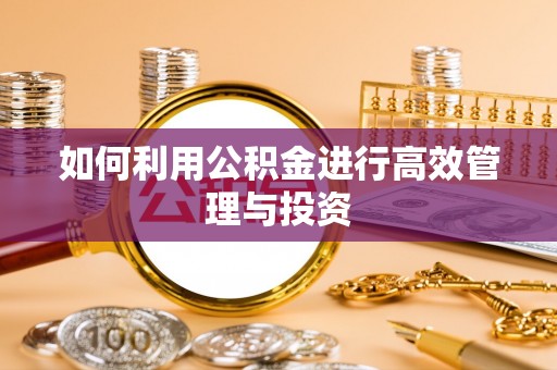 城口如何利用公积金进行高效管理与投资