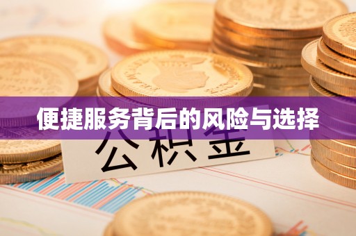 城口便捷服务背后的风险与选择